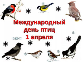 Международный день птиц Международный день птиц.